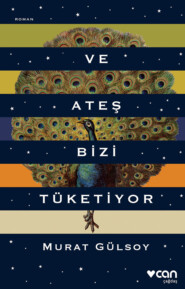 бесплатно читать книгу Ve Ateş Bizi Tüketiyor автора Gülsoy Murat