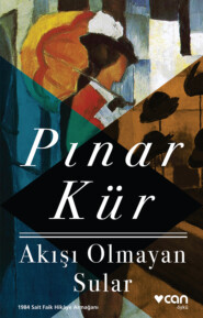 бесплатно читать книгу Akışı Olmayan Sular автора Kür Pınar