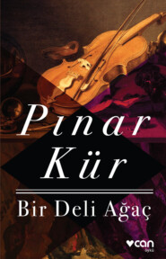 бесплатно читать книгу Bir Deli Ağaç автора Kür Pınar