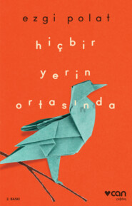 бесплатно читать книгу Hiçbir Yerin Ortasında автора Polat Ezgi
