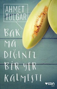 бесплатно читать книгу Bakmadığınız Bir Yer Kalmıştı автора Tulgar Ahmet