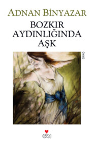 бесплатно читать книгу Bozkır Aydınlığında Aşk автора Binyazar Adnan