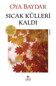 бесплатно читать книгу Sıcak Külleri Kaldı автора Baydar Oya