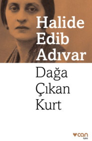 бесплатно читать книгу Dağa Çıkan Kurt автора Adıvar Halide