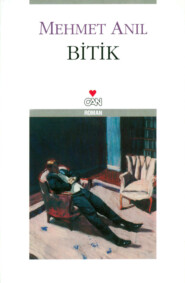 бесплатно читать книгу Bitik автора Anıl Mehmet