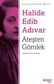 бесплатно читать книгу Ateşten Gömlek (Sadeleştirilmiş Metin) автора Adıvar Halide