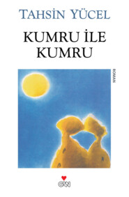 бесплатно читать книгу Kumru ile Kumru автора Yücel Tahsin