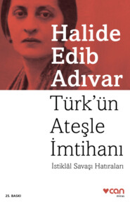 бесплатно читать книгу Türk'ün Ateşle İmtihanı автора Adıvar Halide