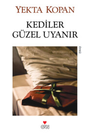 бесплатно читать книгу Kediler Güzel Uyanır автора Kopan Yekta