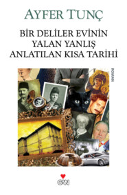 бесплатно читать книгу Bir Deliler Evinin Yalan Yanlış Anlatılan Kısa Tarihi автора Tunç Ayfer