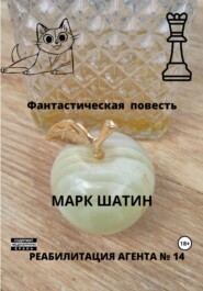 бесплатно читать книгу Реабилитация агента № 14 автора Марк Шатин