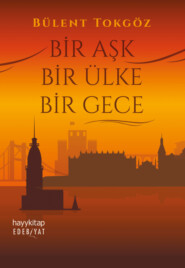 бесплатно читать книгу BİR AŞK BİR ÜLKE BİR GECE автора Bülent Tokgöz