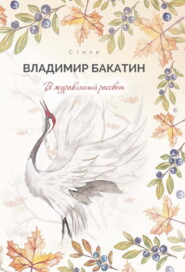бесплатно читать книгу В журавлиный рассвет автора Владимир Бакатин