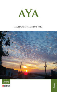 бесплатно читать книгу Aya автора Muhammet Mevlüt Faki