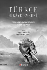 бесплатно читать книгу Türkçe Hikâye Evreni: Özgün Metinler автора  Анонимный автор