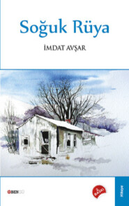 бесплатно читать книгу Soğuk Rüya автора Avşar İmdat