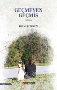 бесплатно читать книгу Geçmeyen Geçmiş автора Binnur Tüzün