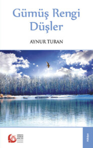 бесплатно читать книгу Gümüş Rengi Düşler автора Aynur Turan