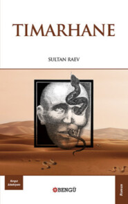 бесплатно читать книгу Tımarhane автора Sultan Raev