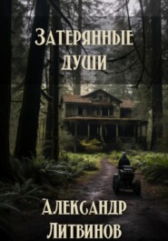 бесплатно читать книгу Затерянные души автора Александр Литвинов