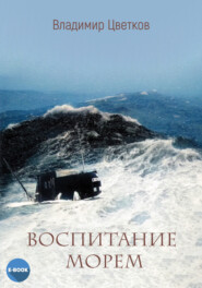 бесплатно читать книгу Воспитание морем автора Владимир Цветков