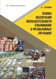 бесплатно читать книгу Основы обеспечения жизнедеятельности и выживание в чрезвычайных ситуациях автора Александр Ветошкин