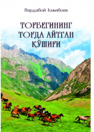 бесплатно читать книгу Тоғбегининг тоғда айтган қўшиғи автора Пардабой Тожибоев