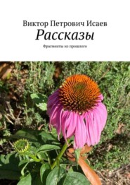 бесплатно читать книгу Рассказы. Фрагменты из прошлого автора Виктор Исаев