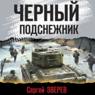 бесплатно читать книгу Черный подснежник автора Сергей Зверев