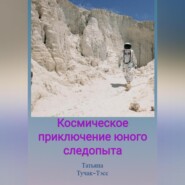 бесплатно читать книгу Большое приключение маленького мальчика автора Татьяна Тучак-Тэсс