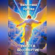 бесплатно читать книгу Полёт в бессмертие автора Валентина Орлова