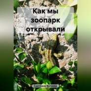 бесплатно читать книгу Как мы зоопарк открывали автора  Светлана Булаева