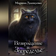 бесплатно читать книгу Возвращение в Запределье автора  Марина Данилова