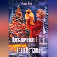 бесплатно читать книгу Приключения Нюси и Сани Веткина автора Елена Шейк