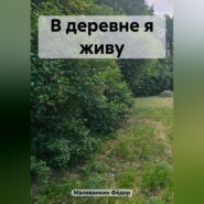 бесплатно читать книгу В деревне я живу автора Фёдор Малеванкин
