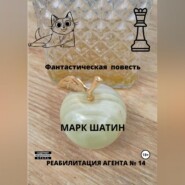 бесплатно читать книгу Реабилитация агента № 14 автора Марк Шатин