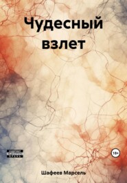бесплатно читать книгу Чудесный взлет автора Марсель Шафеев