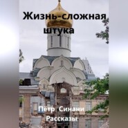 бесплатно читать книгу Жизнь – сложная штука автора Петр Синани