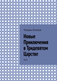 бесплатно читать книгу Новые Приключения в Тридевятом Царстве. Том 1 автора Тигран Осипов