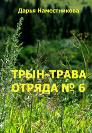 бесплатно читать книгу Трын-трава отряда № 6 автора Дарья Наместникова