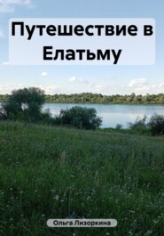 бесплатно читать книгу Путешествие в Елатьму автора Лизоркина Ольга