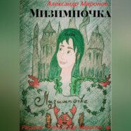 бесплатно читать книгу Мизимпочка автора Александр Миронов