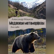 бесплатно читать книгу Медвежьи метаморфозы автора Александр Машков