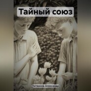 бесплатно читать книгу Тайный союз автора Александр Литвинов