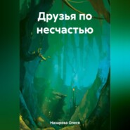 бесплатно читать книгу Друзья по несчастью автора Олеся Назарова