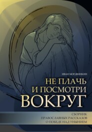 бесплатно читать книгу Не плачь и посмотри вокруг автора Иван Мордвинкин