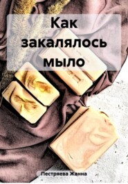 бесплатно читать книгу Как закалялось мыло автора Жанна Пестряева