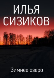 бесплатно читать книгу Зимнее озеро автора Илья Сизиков