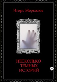 бесплатно читать книгу Несколько тёмных историй автора Игорь Мерцалов