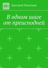 бесплатно читать книгу В одном шаге от преисподней автора Дмитрий Николаев